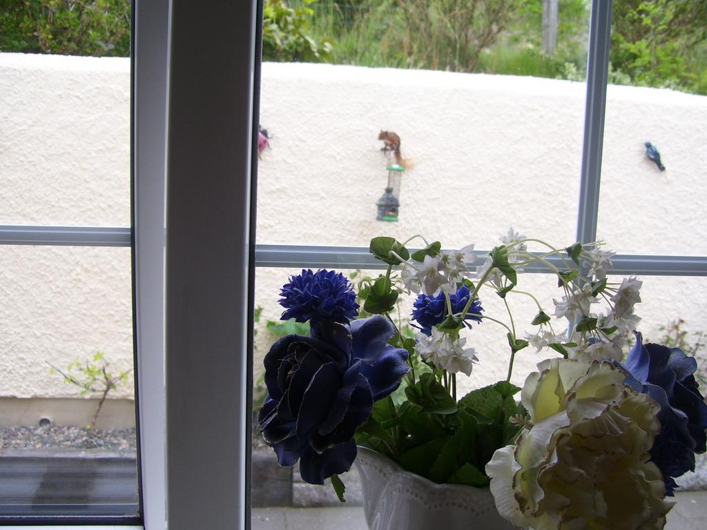 Lurig View B&B Glenariffe ภายนอก รูปภาพ